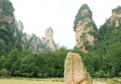 走湘西——張家界、鳳凰古城游記(一)